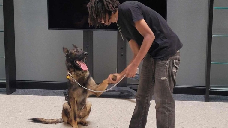 La campagne GoFundMe d’une adolescente et d’un chien sans abri dépasse les 30 000 dollars après que l’histoire de la crise soit devenue virale.