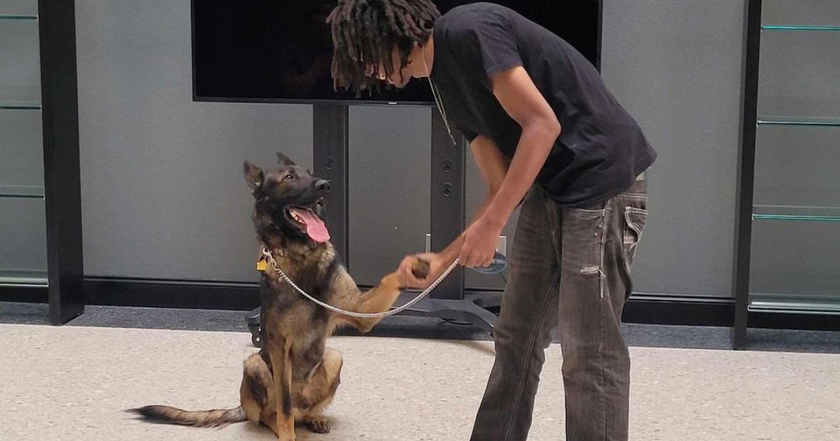 La campagne GoFundMe d’une adolescente et d’un chien sans abri dépasse les 30 000 dollars après que l’histoire de la crise soit devenue virale.