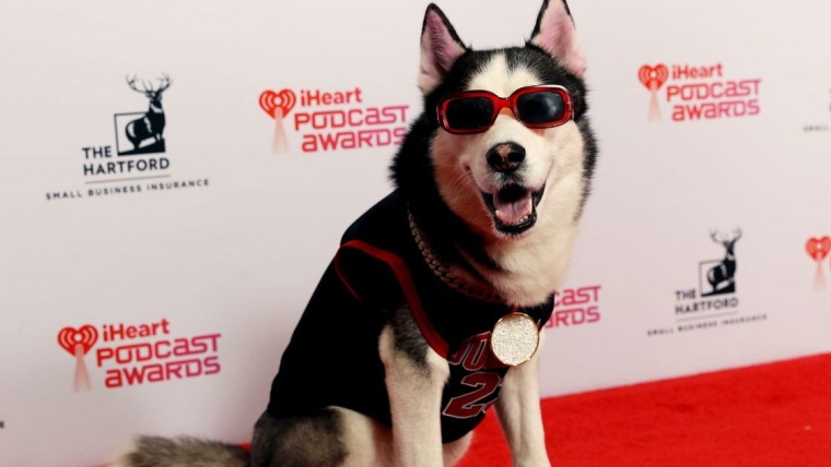 Le chien Swaggy Wolfdog perd une chaîne en diamants de 100 000 $ lors d’un événement organisé par iHeartRadio.