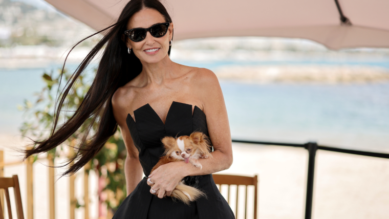 Le chihuahua Pilaf de Demi Moore séduit les invités du Graham Norton Show