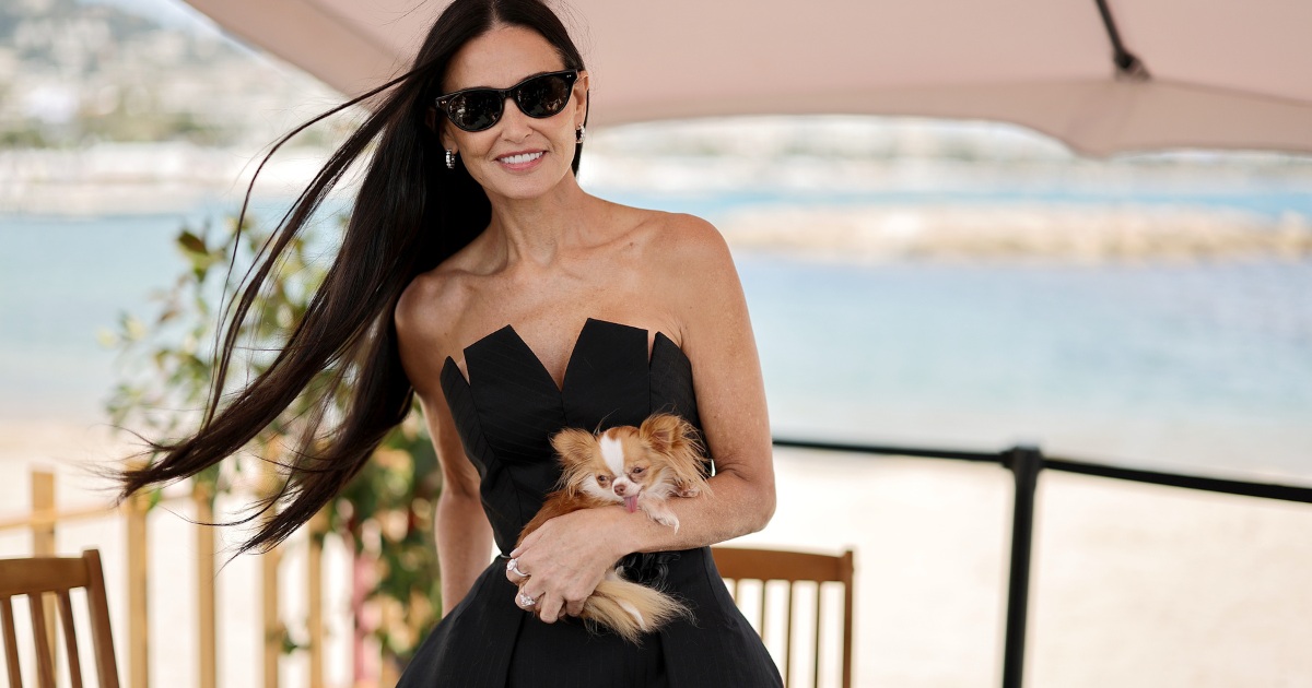 Le chihuahua Pilaf de Demi Moore séduit les invités du Graham Norton Show