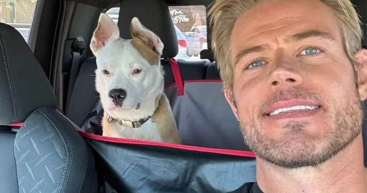 Trevor Donovan met en garde contre les risques liés au xylitol après avoir failli perdre son chien
