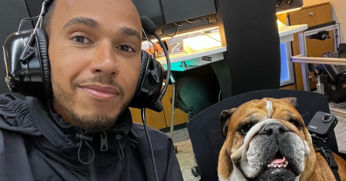 Lewis Hamilton, pilote de F1, explique comment un régime à base de plantes a transformé la santé de son chien