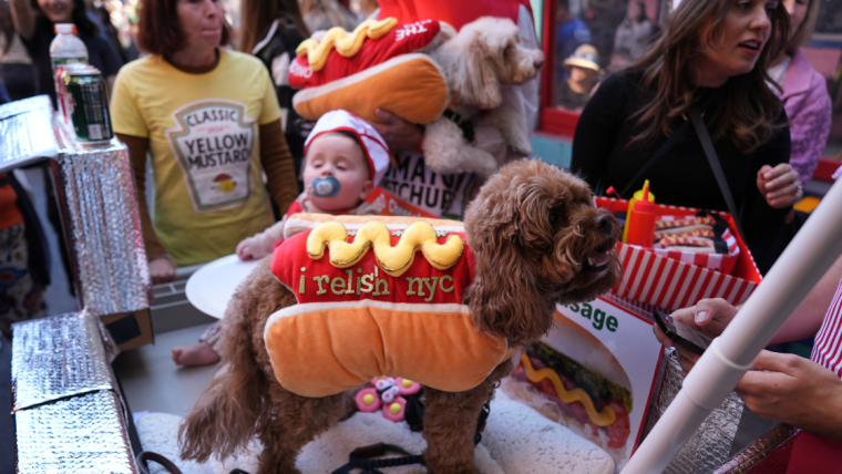 Les chiots volent la vedette à la 34e parade annuelle des chiens d’Halloween à New York