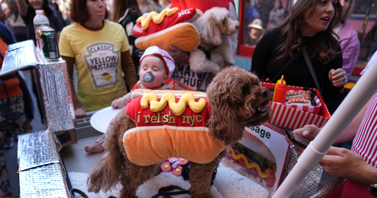 Les chiots volent la vedette à la 34e parade annuelle des chiens d’Halloween à New York