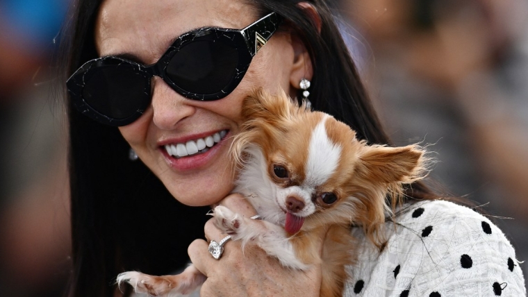 Pilaf, le chihuahua de Demi Moore, enchante les invités du « Graham Norton Show ».