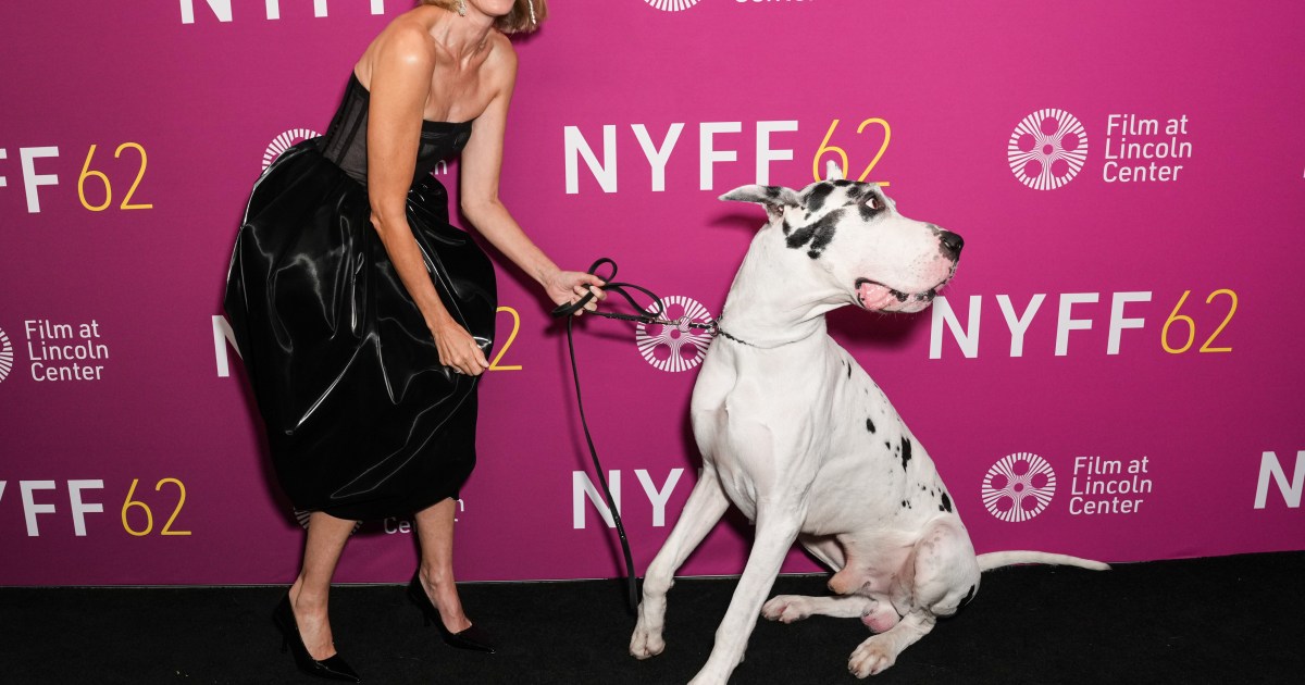 Naomi Watts et sa coprotagoniste Canina se font remarquer lors de la présentation de ‘The Friend’ au NYFF