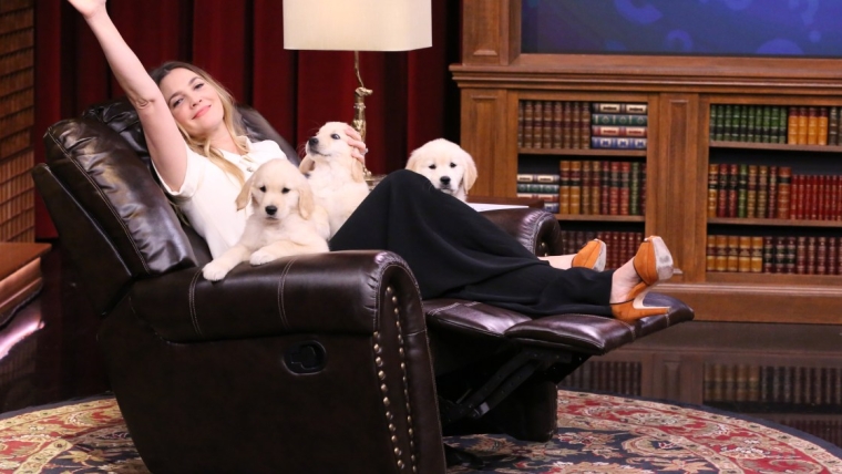 Drew Barrymore et Dave Bautista s’unissent à l’ASPCA pour le mois de l’adoption d’un perroquet