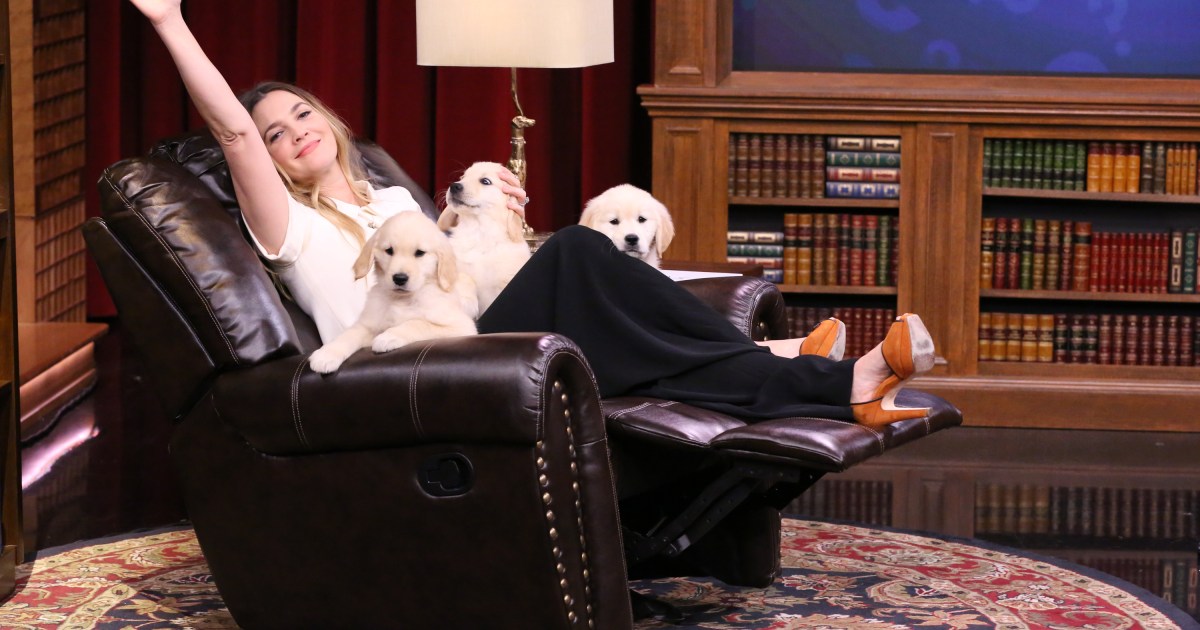 Drew Barrymore et Dave Bautista s’unissent à l’ASPCA pour le mois de l’adoption d’un perroquet