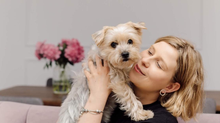 Les races de petits chiens super doux, câlins et affectueux