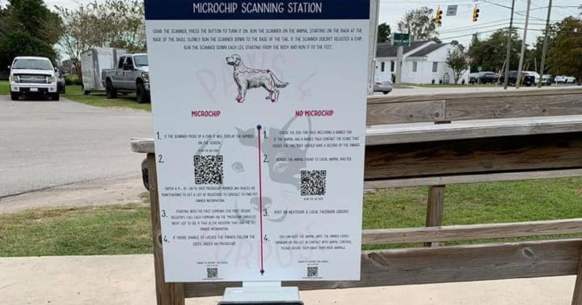 Paws 4 Purpose lance une nouvelle station de balayage de puces pour animaux de compagnie dans une ville de Caroline du Nord