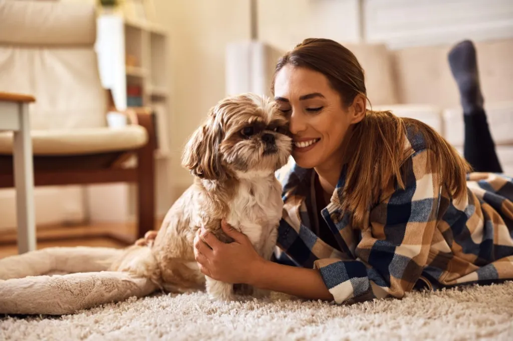 Femme et Shih Tzu profitant de la compagnie de l'autre.