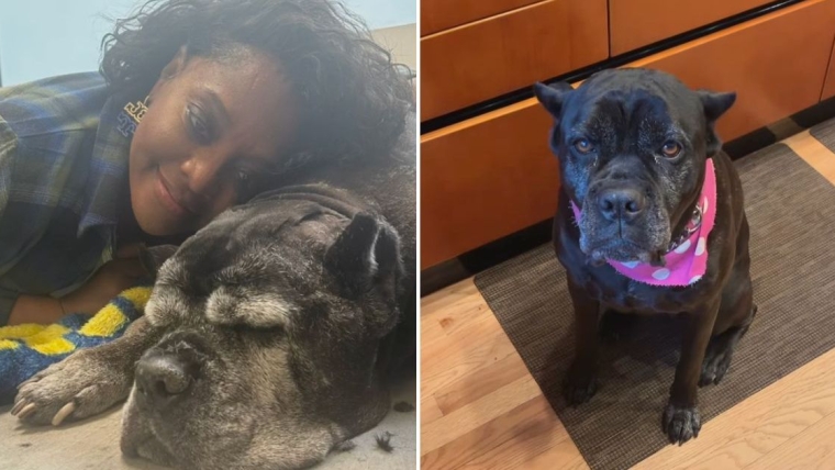 Sherri Shepherd pleure la perte de son chien suite à un cancer dans un hommage bouleversant