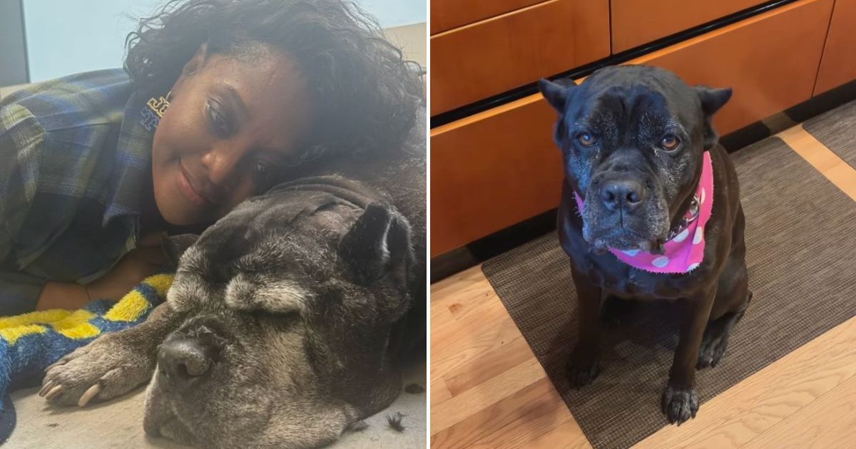 Sherri Shepherd pleure la perte de son chien suite à un cancer dans un hommage bouleversant