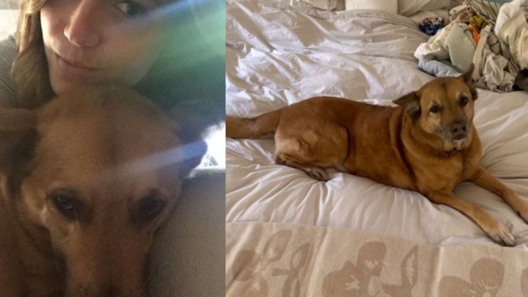 Mandy Moore pleure la perte de son chien dans un hommage bouleversant