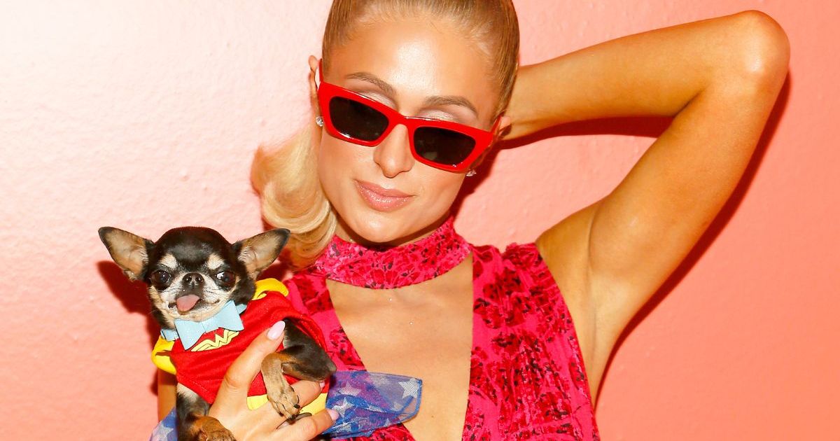 Paris Hilton lance une ligne de toilettage pour animaux « emblématique ».