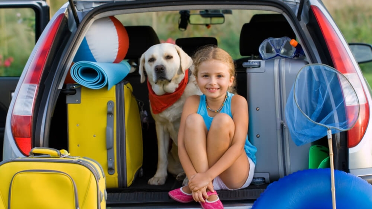 6 conseils pour voyager en toute sécurité avec votre animal de compagnie