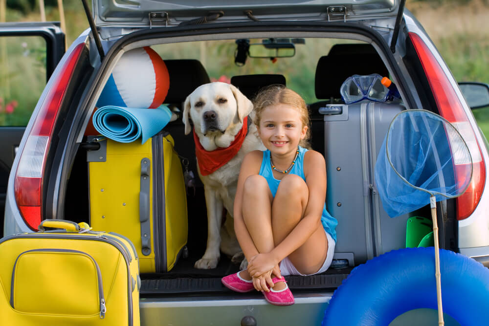 6 conseils pour voyager en toute sécurité avec votre animal de compagnie