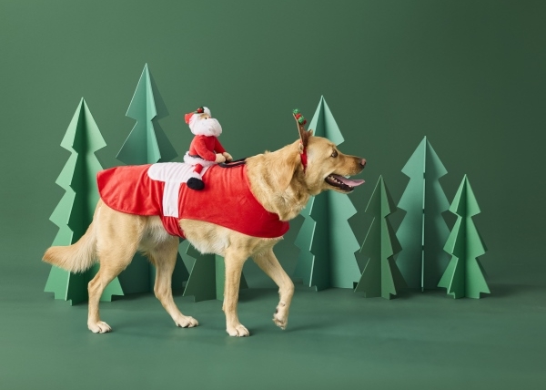 Idées de cadeaux de Noël pour chiens à moins de 40