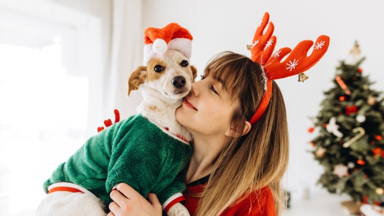 Traditions de Noël à partager avec votre chien