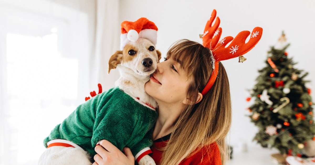 Traditions de Noël à partager avec votre chien