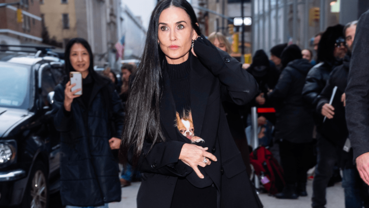 Demi Moore a été aperçue en train de protéger son chihuahua du temps froid de New York.