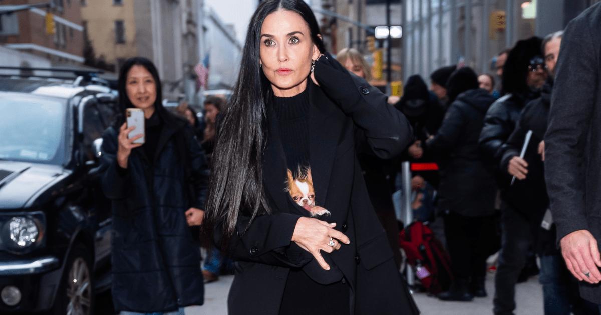 Demi Moore a été aperçue en train de protéger son chihuahua du temps froid de New York.