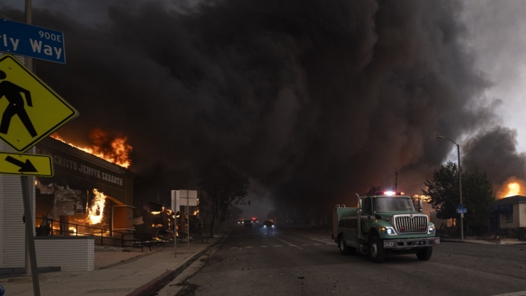 Liste des abris pour animaux en cas d’incendie à Los Angeles