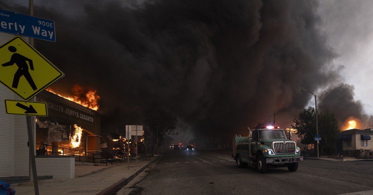 Liste des abris pour animaux en cas d’incendie à Los Angeles