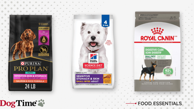 Les meilleures croquettes pour chien pour les estomacs sensibles