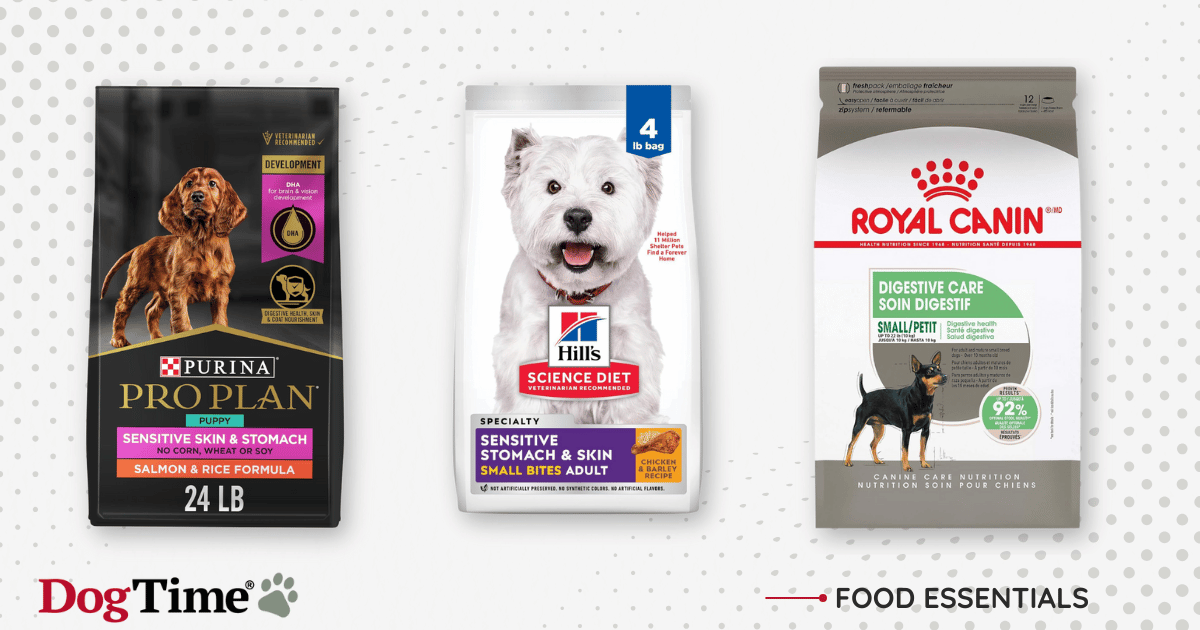 Les meilleures croquettes pour chien pour les estomacs sensibles
