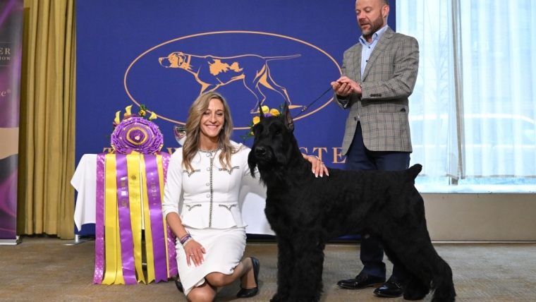 Qui a remporté l’exposition canine Westminster Kennel Club 2025 ?