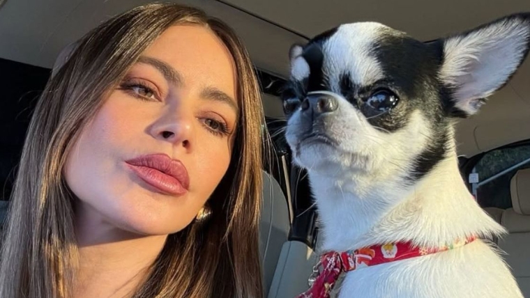 Le chien de Sofia Vergara est la star de ses photos de la Saint-Valentin