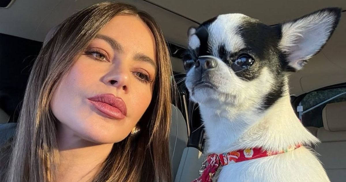 Le chien de Sofia Vergara est la star de ses photos de la Saint-Valentin