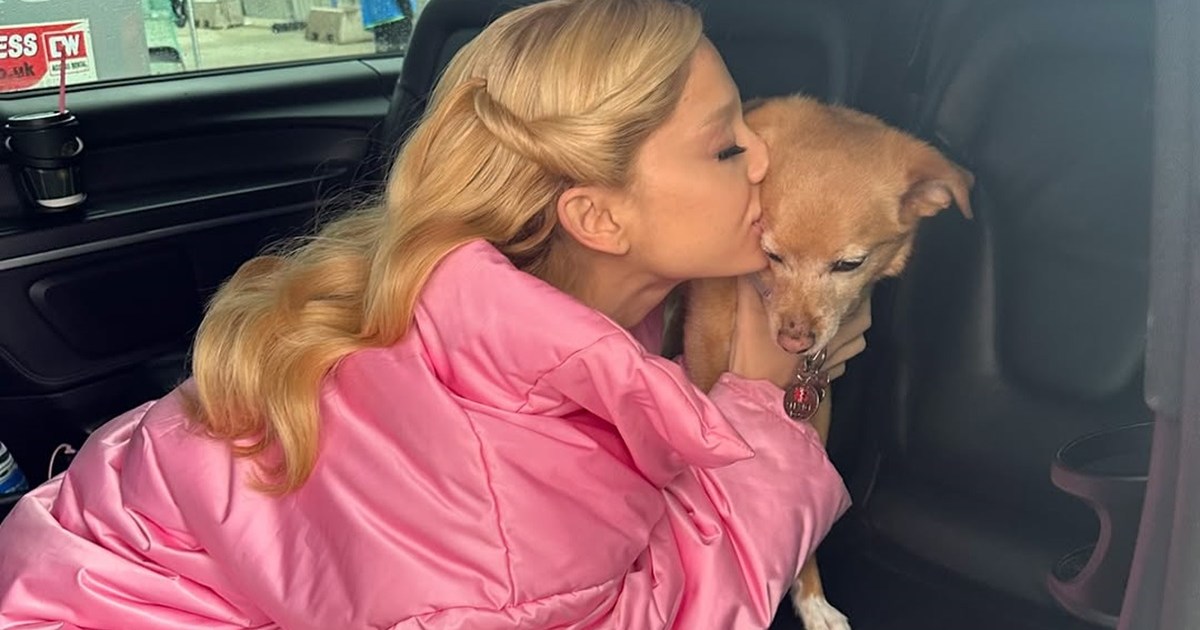 Les chiens d’Ariana Grande : races, âges, et plus encore