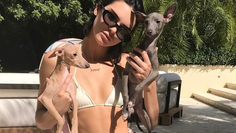 Les chiens de Kylie Jenner : races, âges, et plus encore.