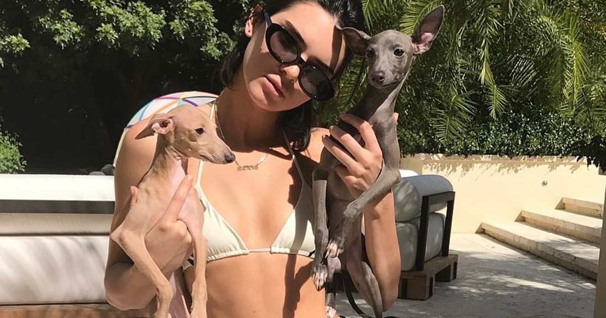Les chiens de Kylie Jenner : races, âges, et plus encore.