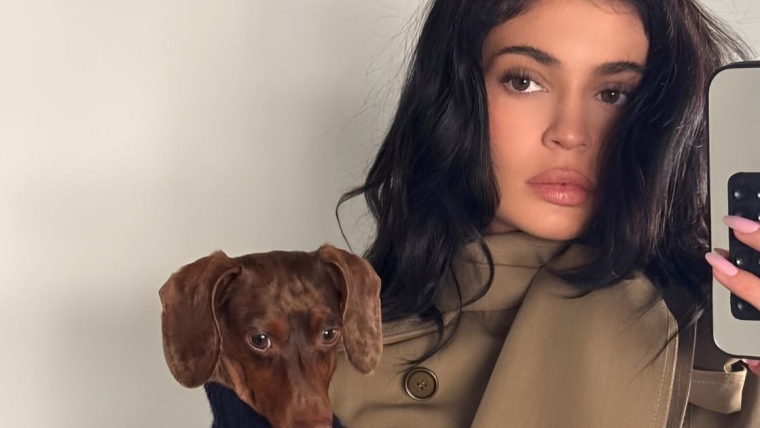 Le chien de Kylie Jenner porte le plus beau des pulls sur une nouvelle photo.