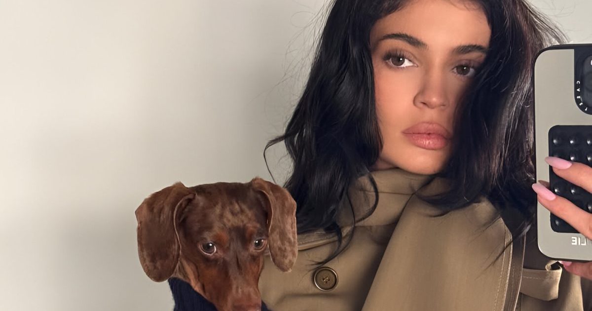 Le chien de Kylie Jenner porte le plus beau des pulls sur une nouvelle photo.