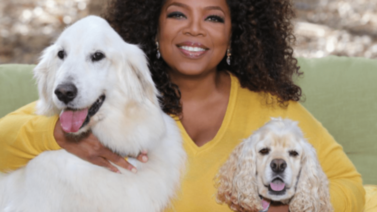 Layla, le chien d’Oprah : Race, âge, et plus encore