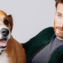 Le chien de Chris Evans, Dodger : Race, âge, et plus encore
