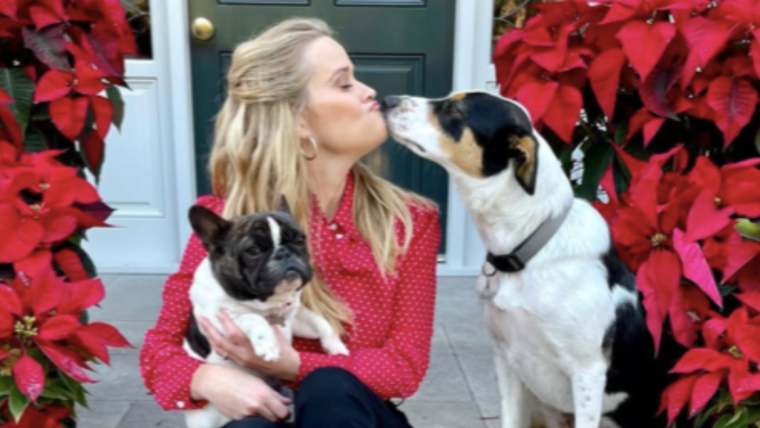 Les chiens de Reese Witherspoon, Major, Hank et Benji : race, âge et plus encore
