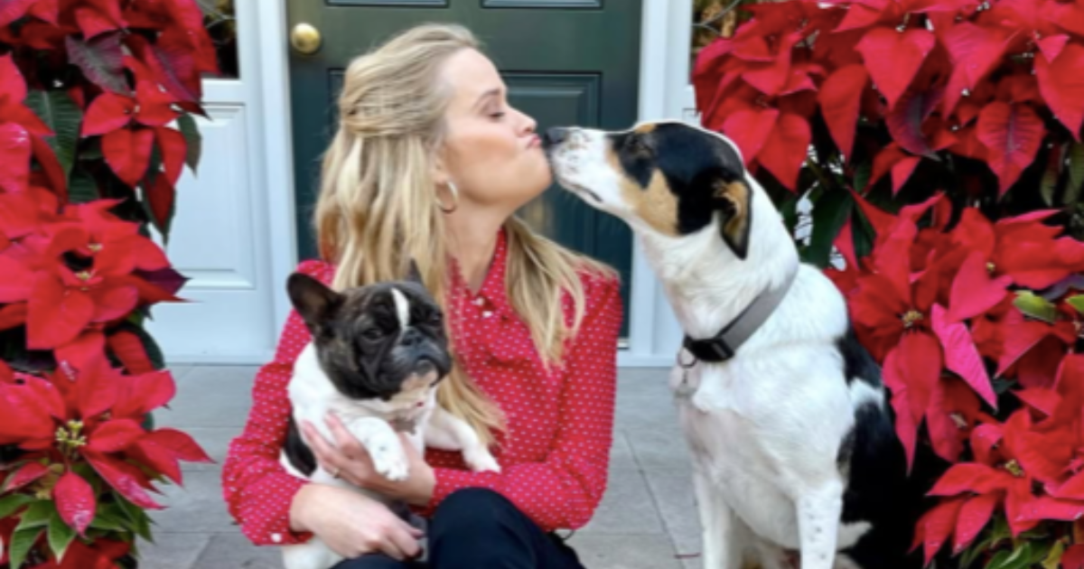 Les chiens de Reese Witherspoon, Major, Hank et Benji : race, âge et plus encore