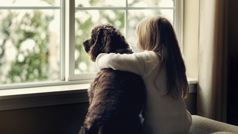 Comment s’occuper de son chien quand on part en vacances ?
