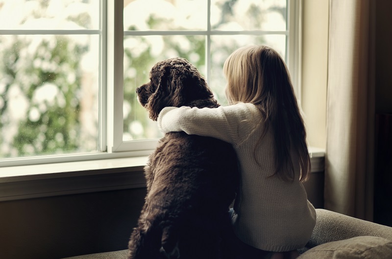 Comment s’occuper de son chien quand on part en vacances ?
