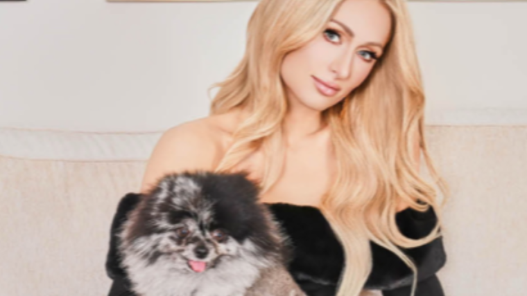 Le chien de Paris Hilton, Crypto Hilton : Race, âge, et plus encore
