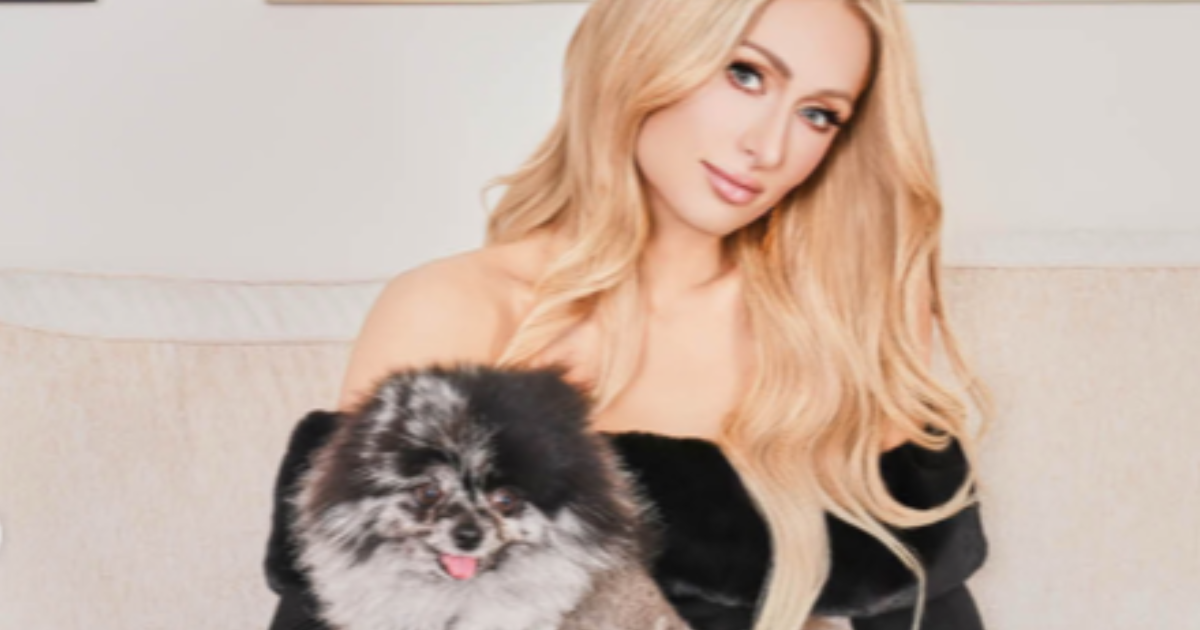 Le chien de Paris Hilton, Crypto Hilton : Race, âge, et plus encore