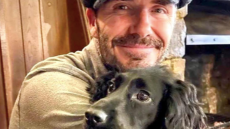 Le chien de David et Victoria Beckham : race, âge, et plus encore