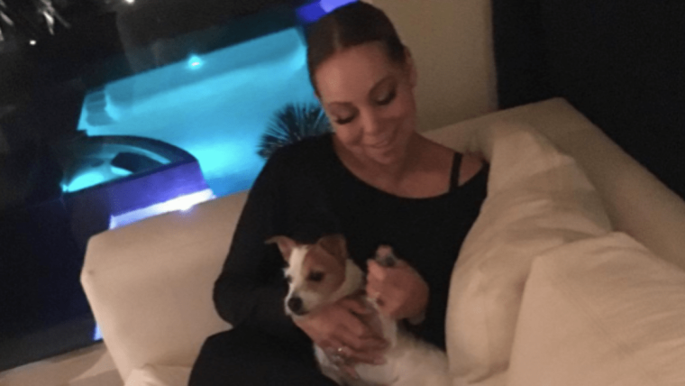 Le chien de Mariah Carey, Jill E. Beans : Race, âge, et plus encore