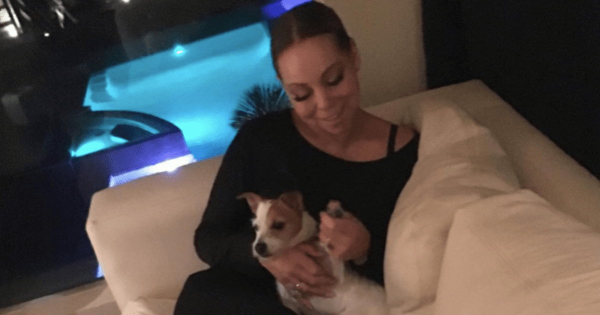 Le chien de Mariah Carey, Jill E. Beans : Race, âge, et plus encore